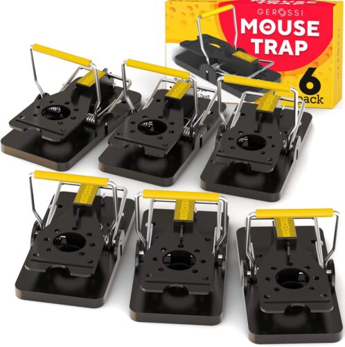 6 Pack Mouse Trap Mouse Traps Indoor Mouse Traps for House Mouse Traps  Outdoor Mice Traps for House Indoor 2023 - $11.99