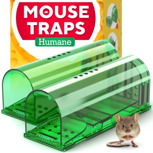 GOFOIT Mouse Traps, Indoor for Home Mouse Traps, Small Mice Traps for House Indoor Outdoor, Quick & Effective Sanitary Safe Mouse Snap Trap