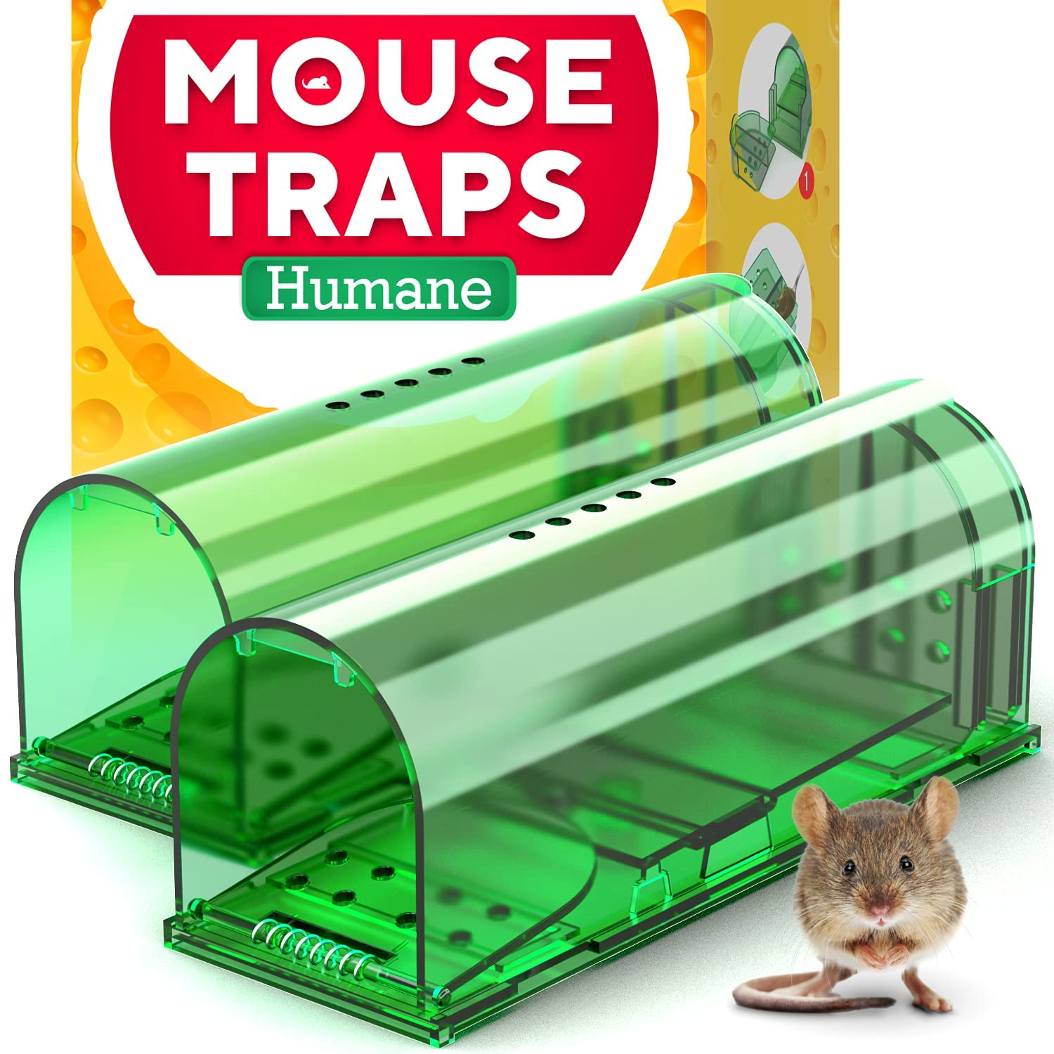 Instant Mouse Mice Traps Pack of 6 - for House, Indoor & Outdoor - Easy  Setup & Reusable w/Powerful Spring - Quick & Effective Mousetrap Catcher,  Best