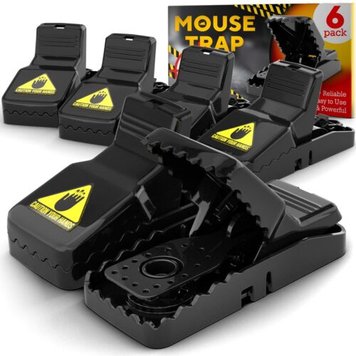 Worker Asks Boss to Use Humane Mouse Traps but Company Opts for Cruel Snap  Traps - One Green Planet