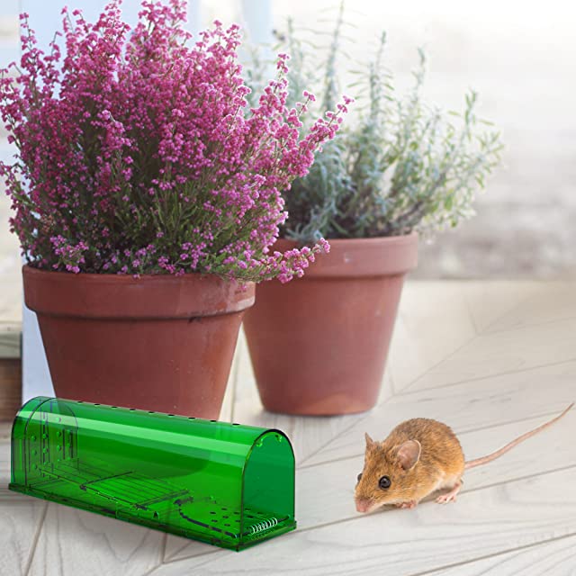 Mouse Traps Indoor for Home, Live Mouse Traps No Kill, Reusable Mice Small  Rat Trap Catcher for House & Outdoors,Grey