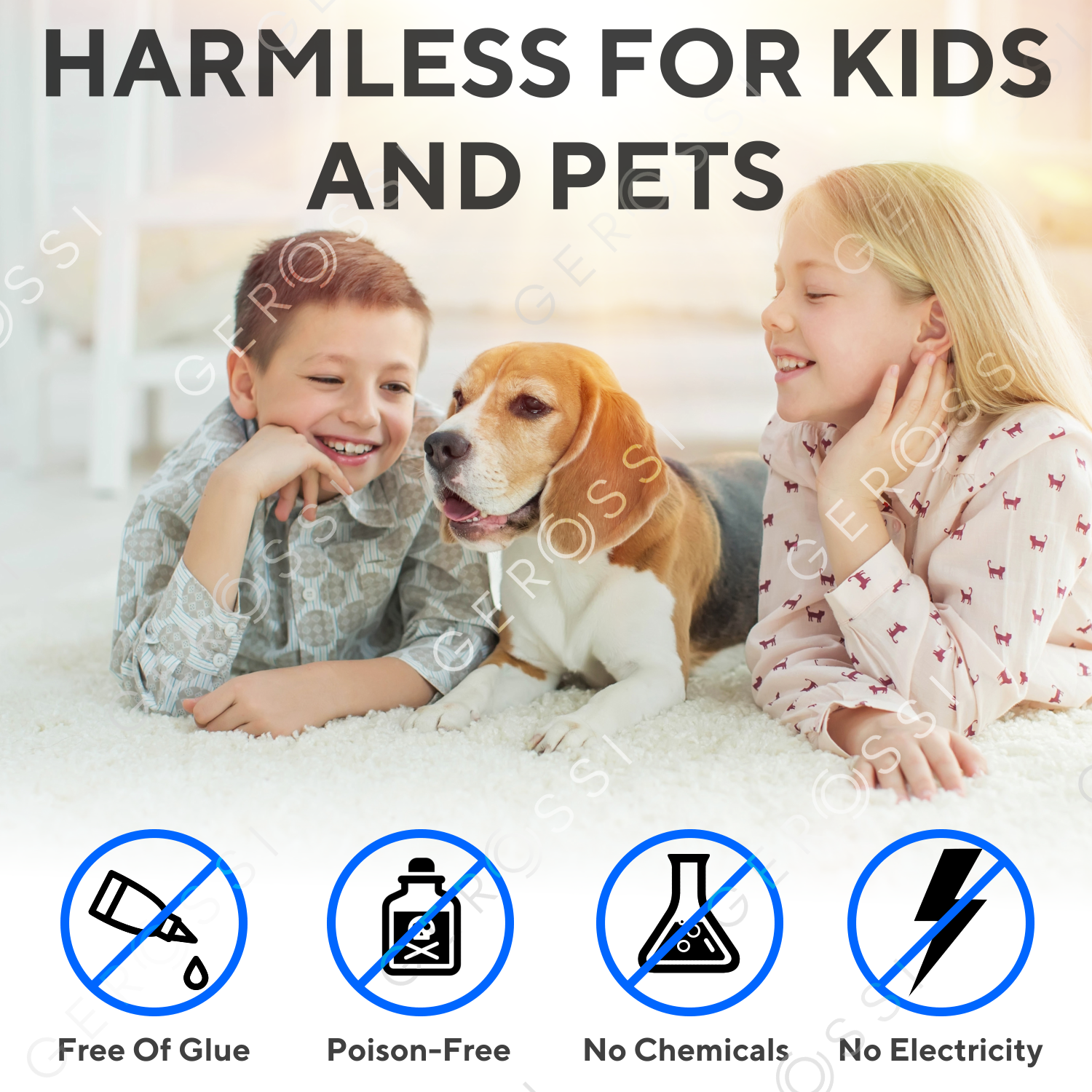 Humane Mouse Trap, No Kill Mouse Traps, Kids/ Pet Safe, Reusable